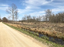 10. White River Road