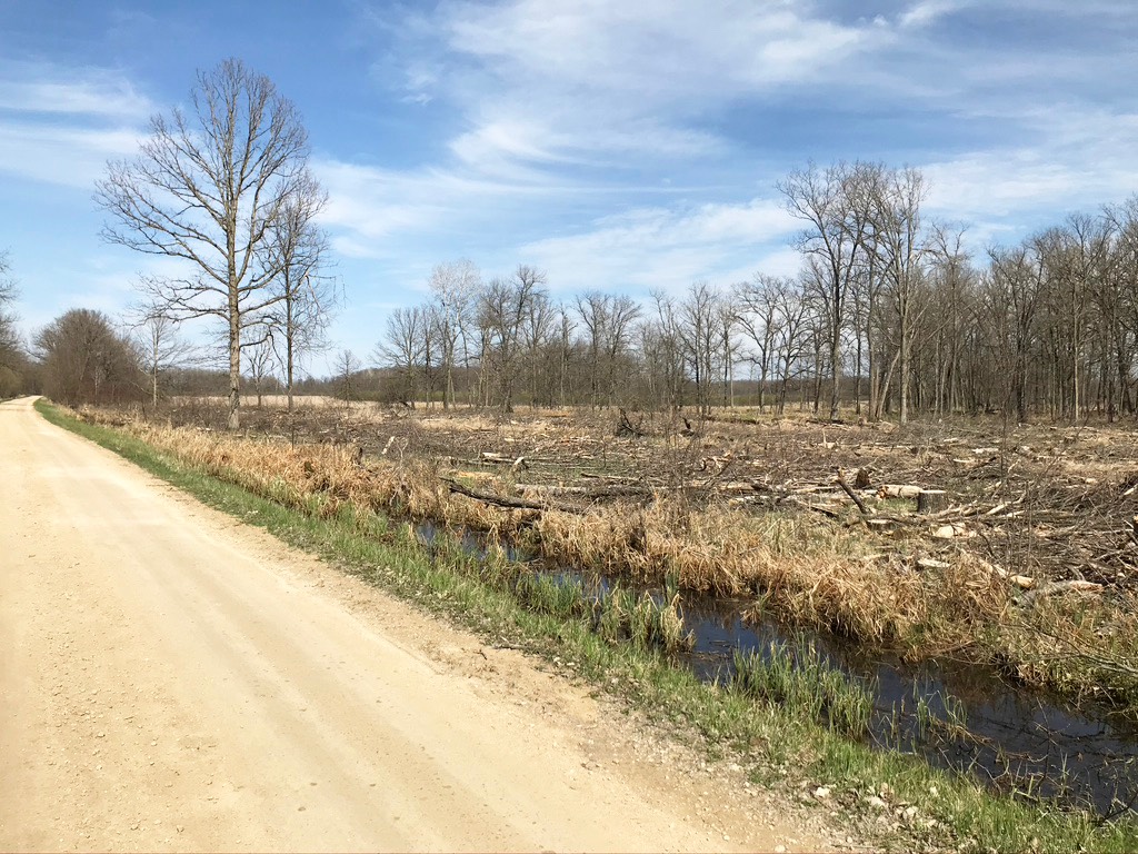 10. White River Road