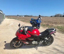 11. Bikes Grove