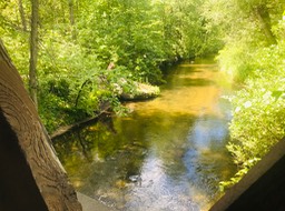 11. Bridge View