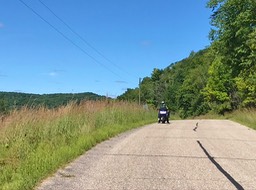 11. Kevin Honey Creek