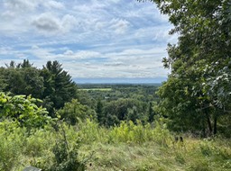 11. Overlook