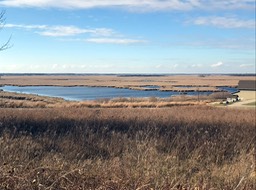 12. Horicon Marsh