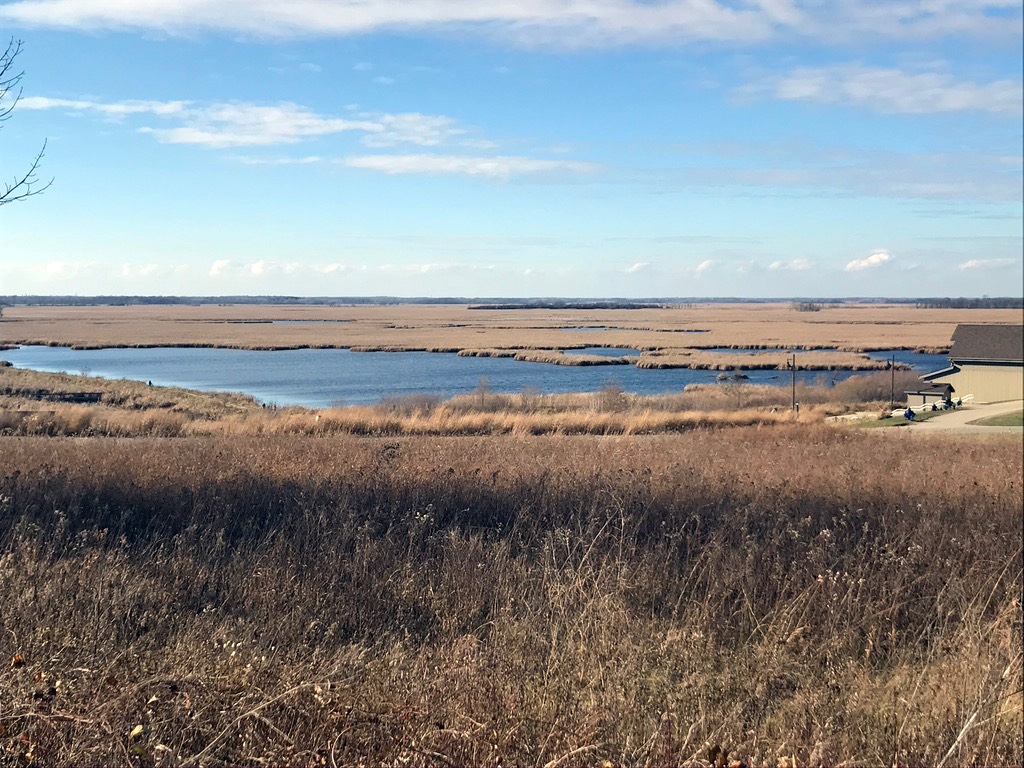 12. Horicon Marsh
