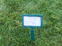 13. Dad's Temp Marker