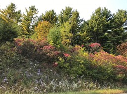 13. Kettle Colors