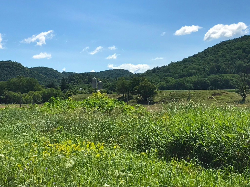 14. Countryside