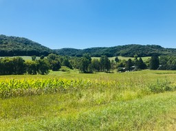 17. Near Modena