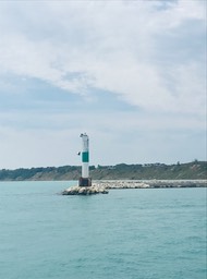 18. Cormorants