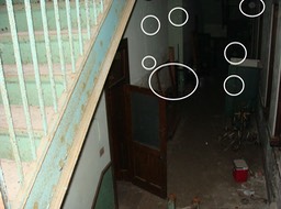 18. Orbs or Dust