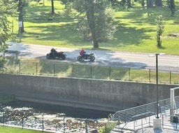 2. Bikes She Marsh