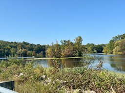 2. Lake Bernice
