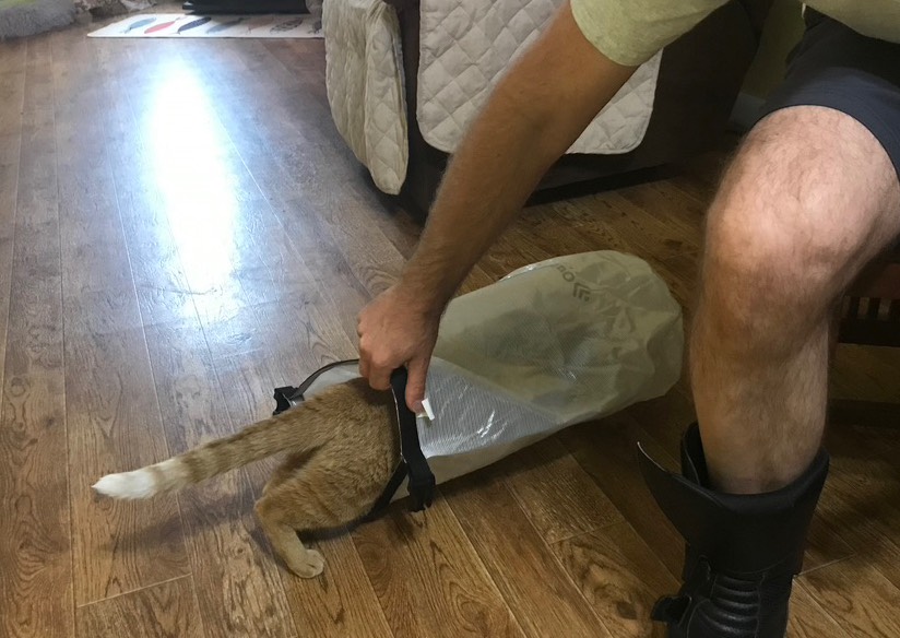 20. Get in Kitty