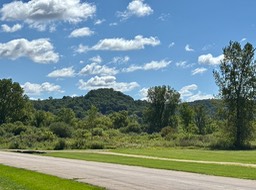 22. Buena Vista