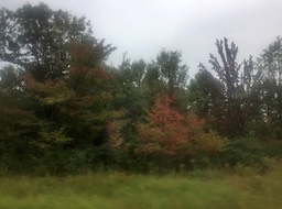 23. Blurry Colors