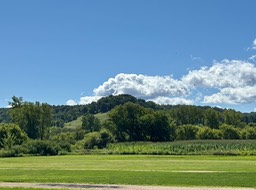 23. Vista