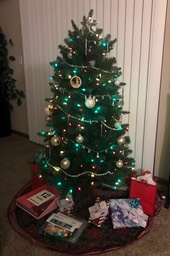 24. My Tree