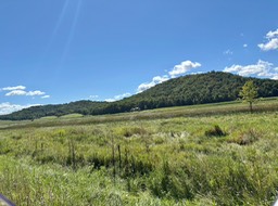 26. Near Baraboo