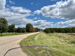 29. Maples Turning