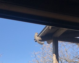 3. Hello Fella