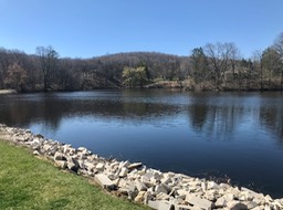 3. Mill Pond