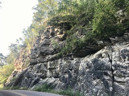 33. Mindoro Bluff