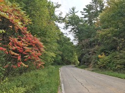 4. River Road WI Dells