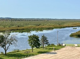 4. She Marsh