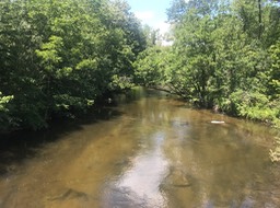 4. Waupaca River