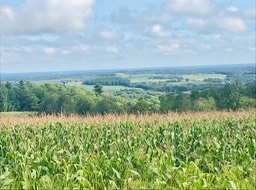 42. Near Tomah