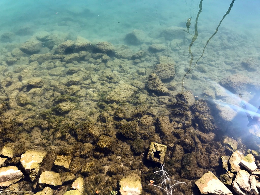 5. Clear Water & Fishies
