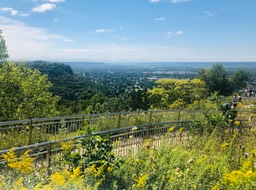 5. Grandads View