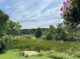 5. Lunch View