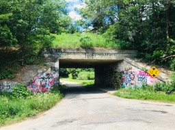 5. Near Mt Morris