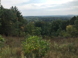 5. Overlook