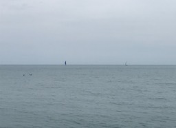 5. Sailboats
