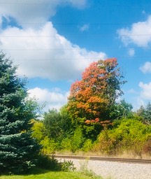 6. Colors