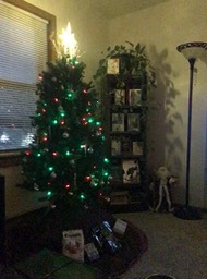 6. My Tree
