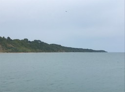 6. North Port Shore