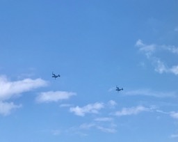 6. Ospreys