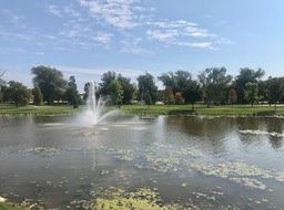 6. She Falls Park