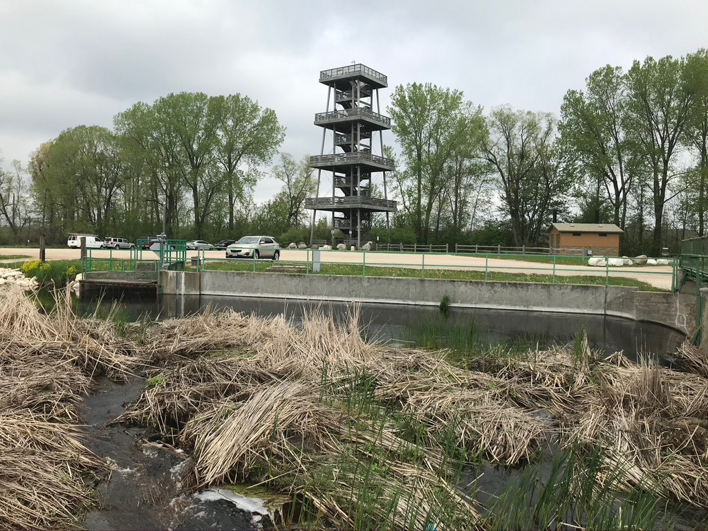 6. She Marsh Tower