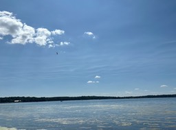 7. Beauty Day