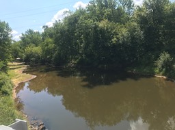 7. Near Finley