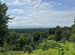 8. Overlook