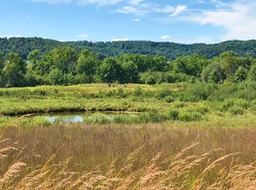 9. Honey Creek_