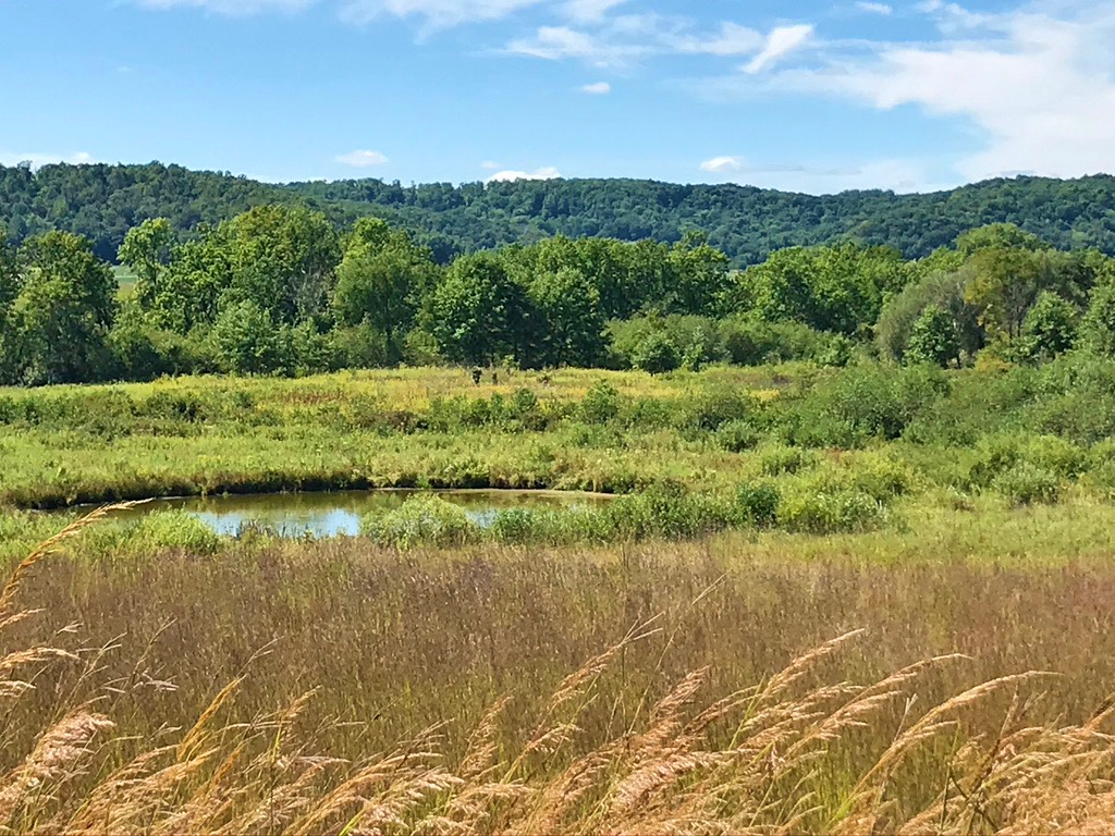 9. Honey Creek_