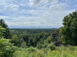 9. Overlook