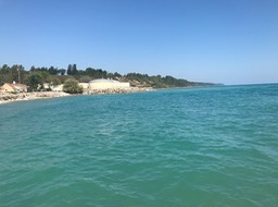 9. Shoreline