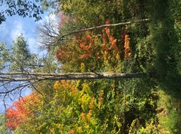 9. Waukau Colors